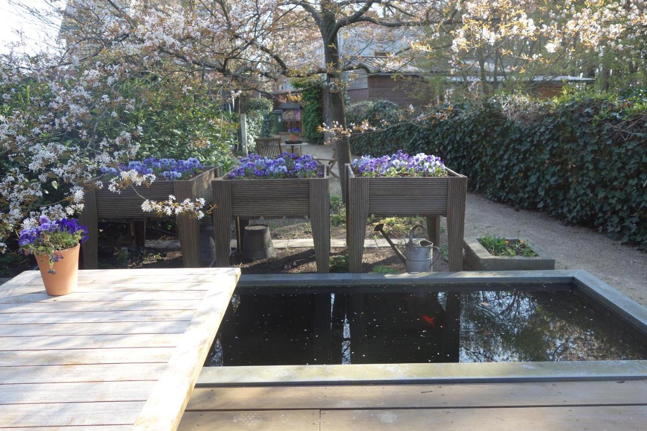B&B Achterom Loon op Zand エクステリア 写真