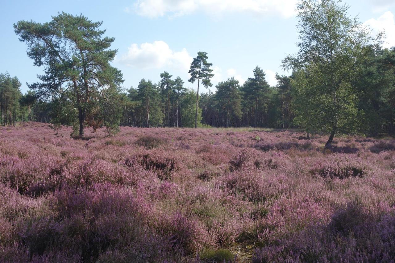 B&B Achterom Loon op Zand エクステリア 写真