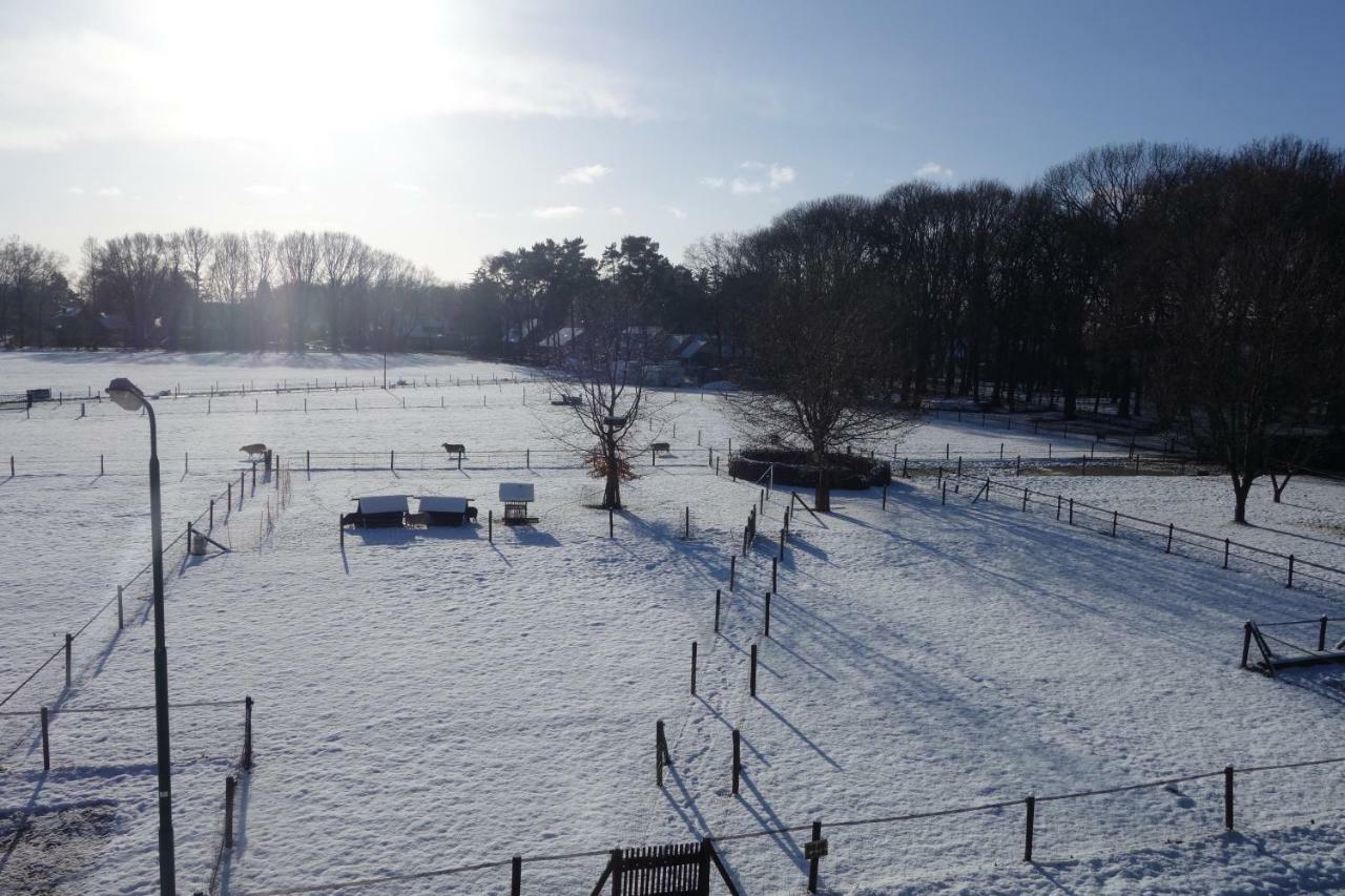 B&B Achterom Loon op Zand エクステリア 写真
